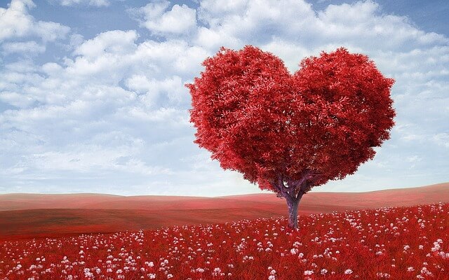are cremation ashes good for trees