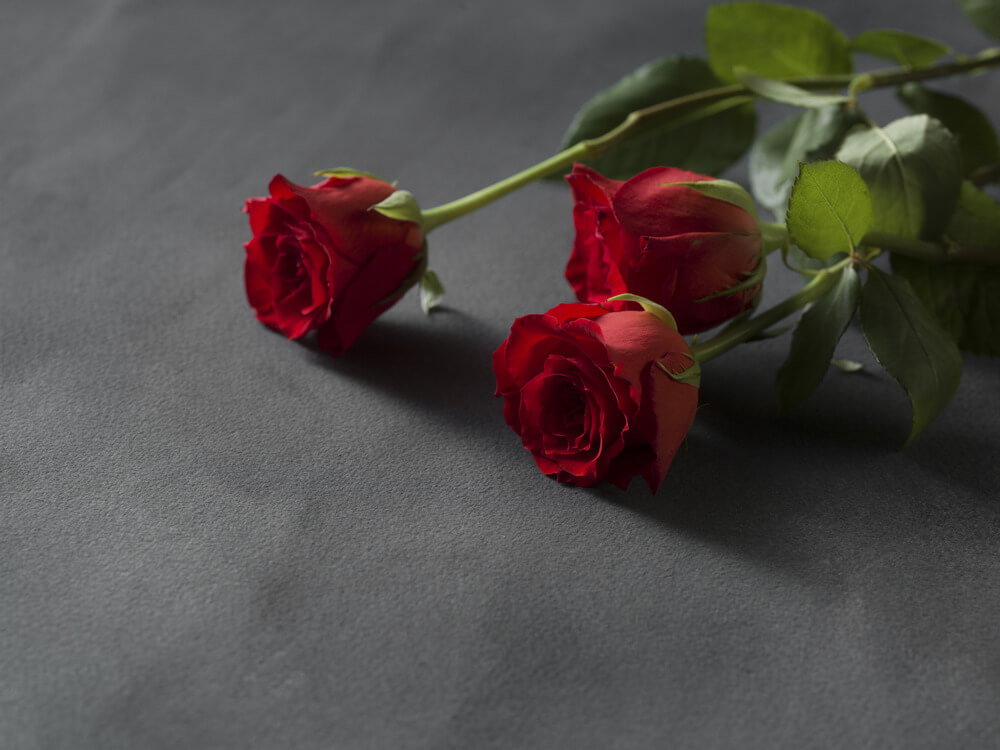 cremation ashes near me