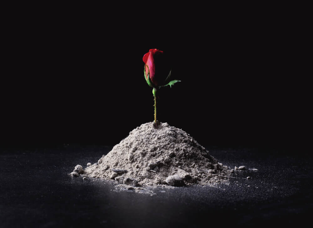 cremation ashes tattoos near me