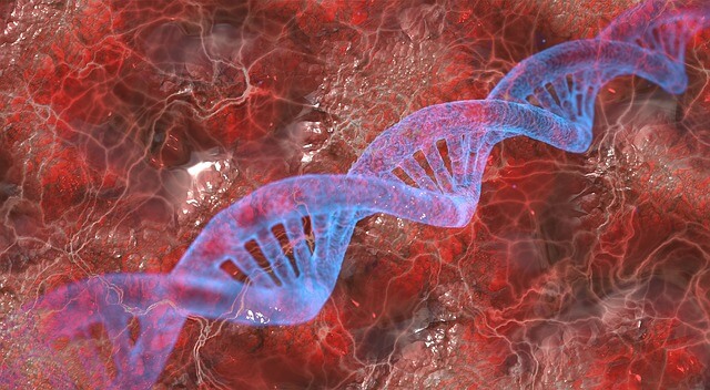 do-cremation-ashes-contain-dna