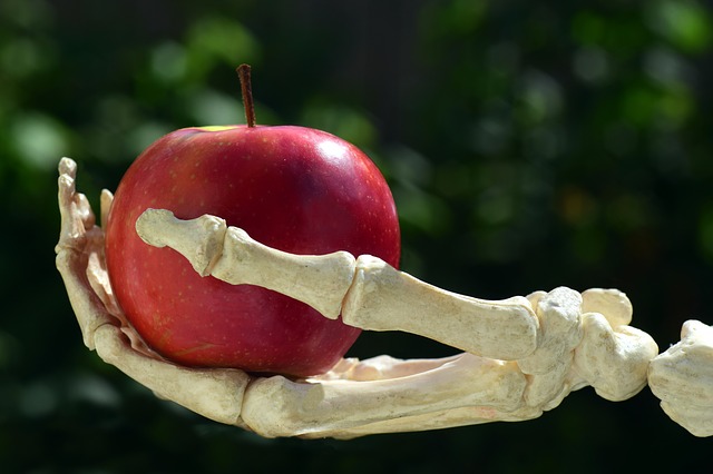 do-cremation-ashes-have-bones