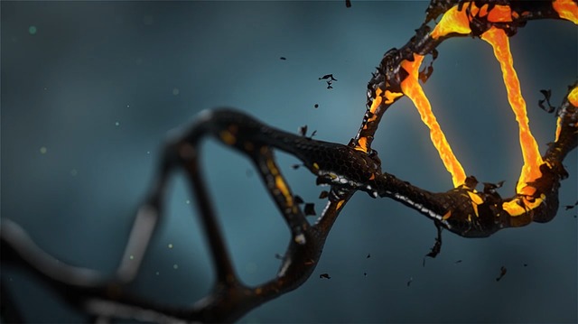 do-cremation-ashes-have-dna