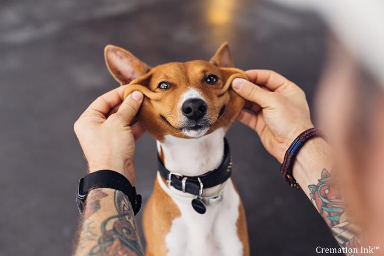 placing dog ashes into tattoo ink