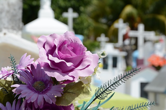 what to do with cremation ashes uk