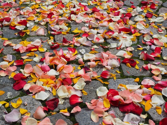 where-can-cremation-ashes-be-scattered