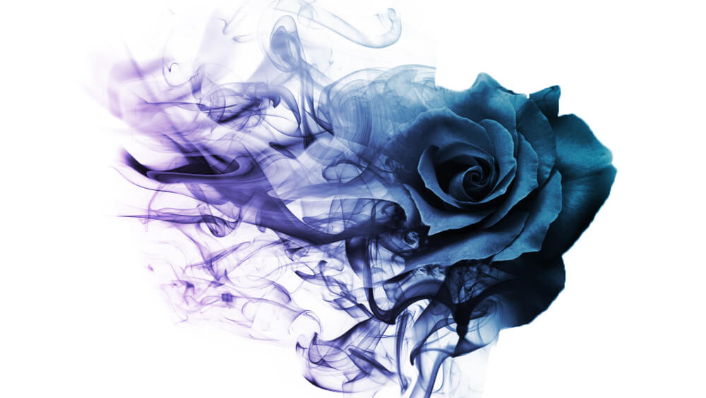 cremation ink nz
