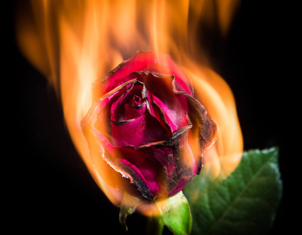 cremation tattoo artist near me london