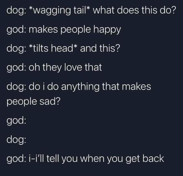 dog