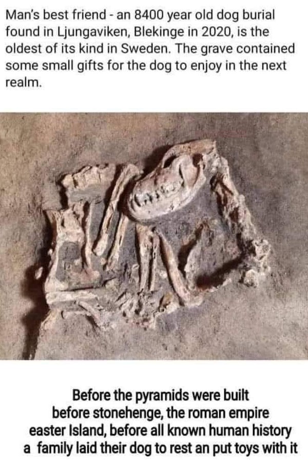 good boy 4